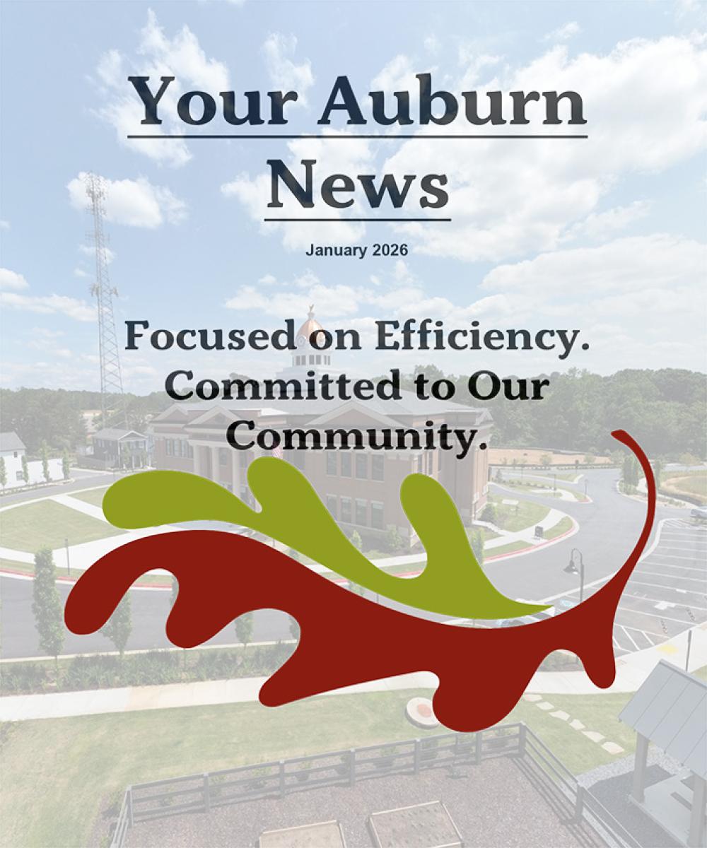 Newsletter January 2026